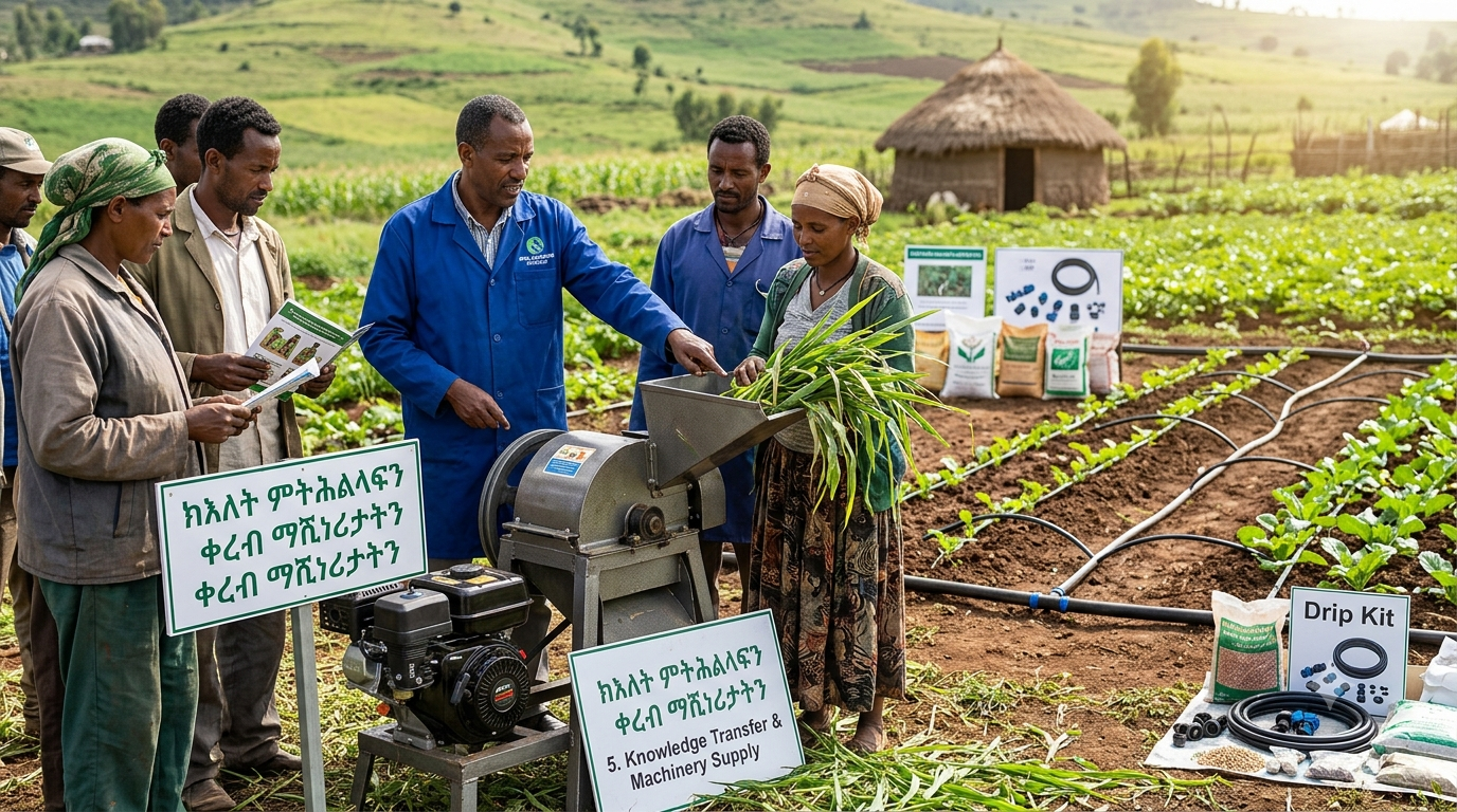 Knowledge Transfer & Machinery Supply